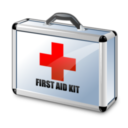 Formation en r�animation cardiorespiratoire